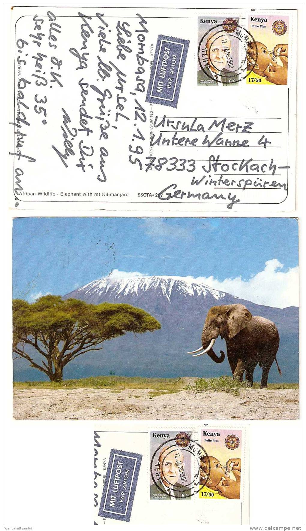 AK 287 African Wildlife - Elephant With Mt Kilimanjaro12. JAN 95 600 MOMBASA KENYA MIT LUFTPOST PAR AVION Aufkleber Nach - Kenia