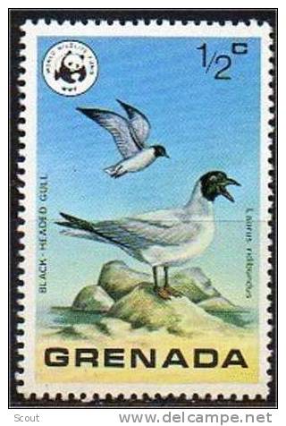 GRENADA – GRENADE - LAURUS RIDIBUNDUS - ** - Mouettes