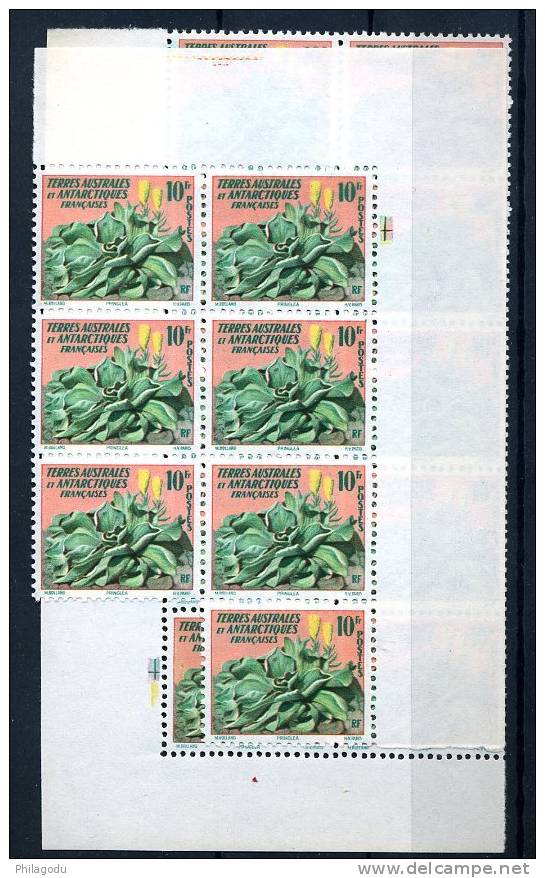 1958  TERRES AUSTRALES ET ANTAR   11**  X 10 Ex  Coté 14,70 = 147€ Chou De Kerguelen - Groenten