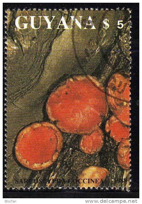 Naturschutz Pilze 1989 GUYANA 2484+Block 37 O 22€ Pilz Zinnoberroter Kelchbecherling Sarcoscypha Coccinea Mushroom Sheet - Guyana (1966-...)