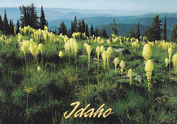 Idaho, Selkirk Mountains Of Nortern Idaho - Otros & Sin Clasificación