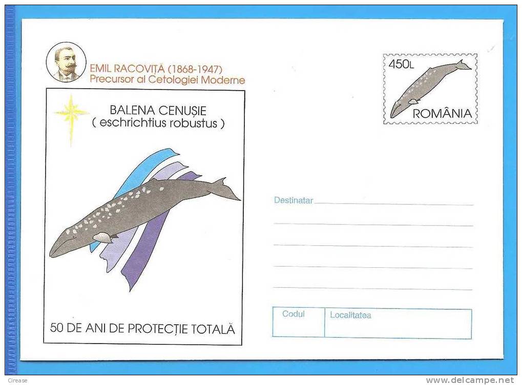 Romania Postal Stationery Cover 1997. Whale - Baleines
