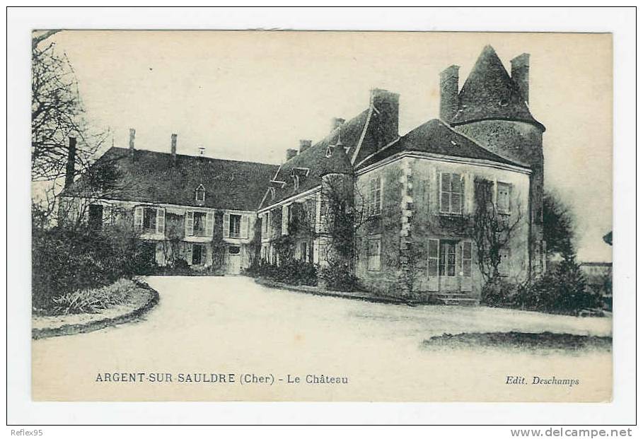 ARGENT SUR SAULDRE - Le Château - Argent-sur-Sauldre