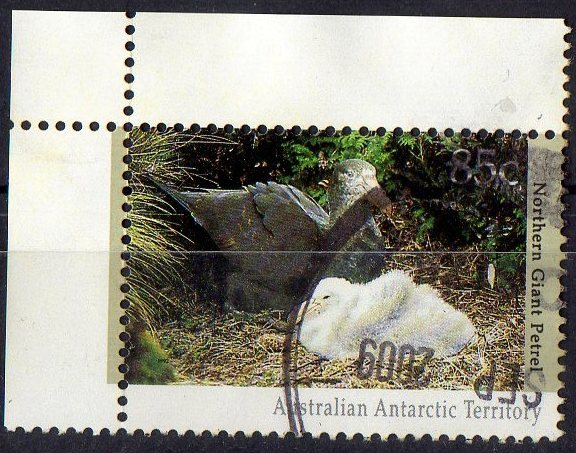Australian Antarctic 1992 Regional Wildlife  85c Northern Giant Petrel Used - Gebruikt