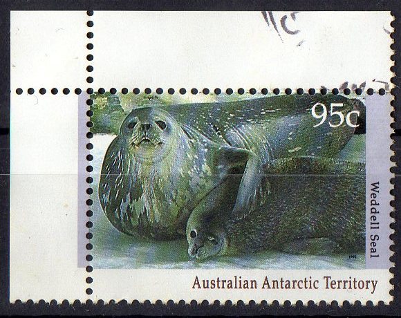 Australian Antarctic 1992 Regional Wildlife  95c Weddell Seal Used - Used Stamps