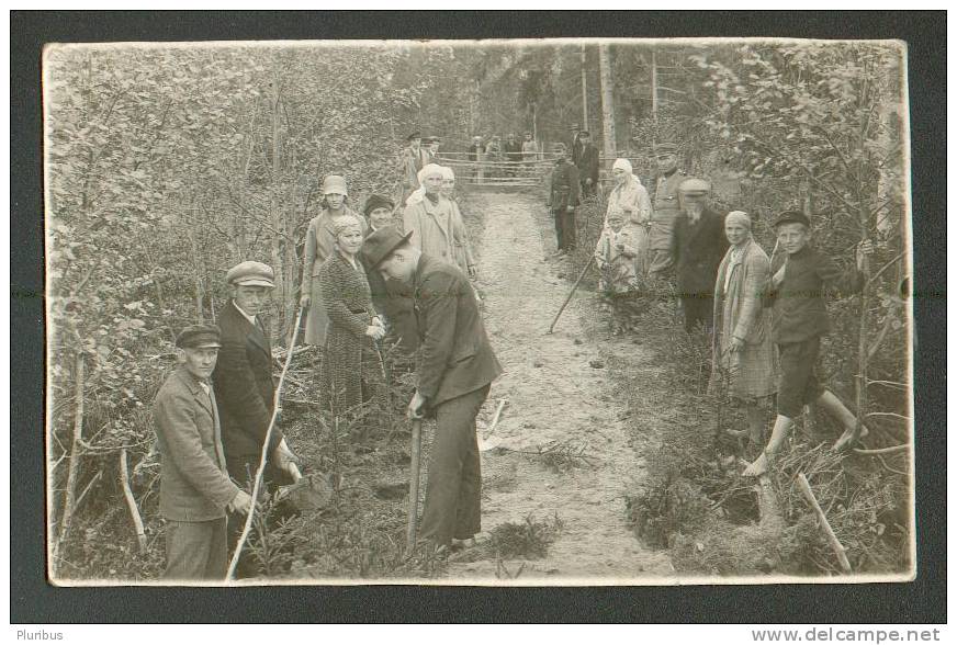 LATVIA, IN THE FARM, Forestry , PLANTING TREES, VINTAGE REAL PHOTO POSTCARD - Farms