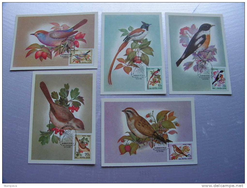 == Russland,  5 Maxi Cards Birds, Vögel, .. 1981 - Collections, Lots & Series