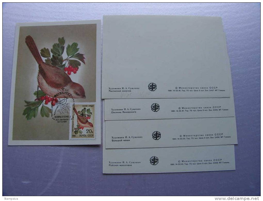 == Russland,  5 Maxi Cards Birds, Vögel, .. 1981 - Konvolute & Serien