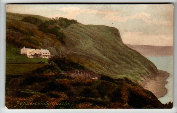 Devon - Peppercombe Castle - Postcard - Other & Unclassified