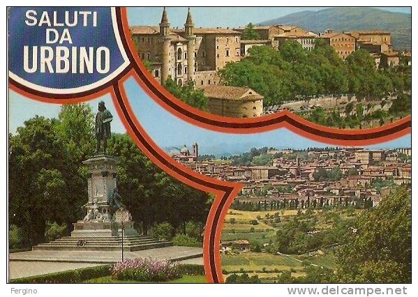6234/FG/10 - URBINO - Saluti Da, Con Vedutine - Urbino