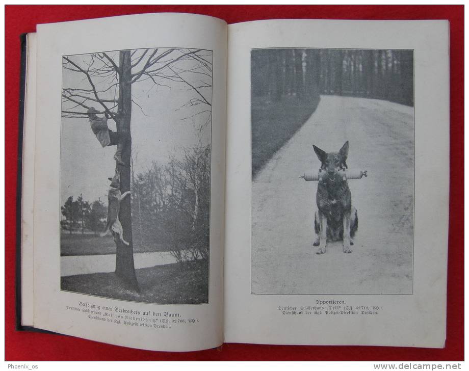 DER POLIZEIHUND - Police Dogs, Dressage, Around 1900., Berlin, Germany - Militär & Polizei