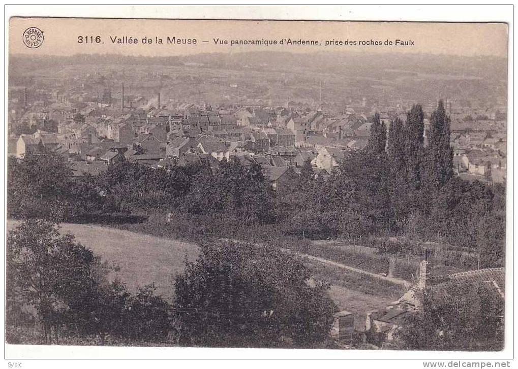 Vue Panoramique D' ANDENNE , Prise Des Roches De Faulx - Andenne