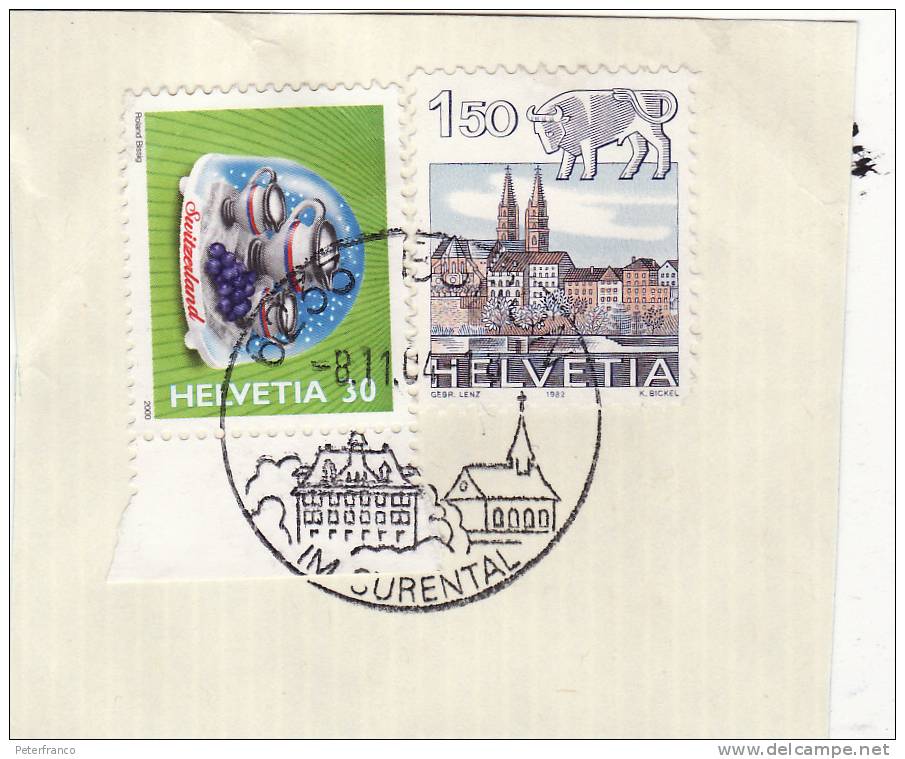 2004 Svizzera - Annullo Borun Im Surental - Frankiermaschinen (FraMA)