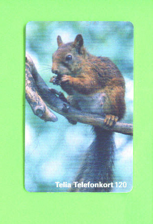 SWEDEN - Chip Phonecard As Scan - Suède