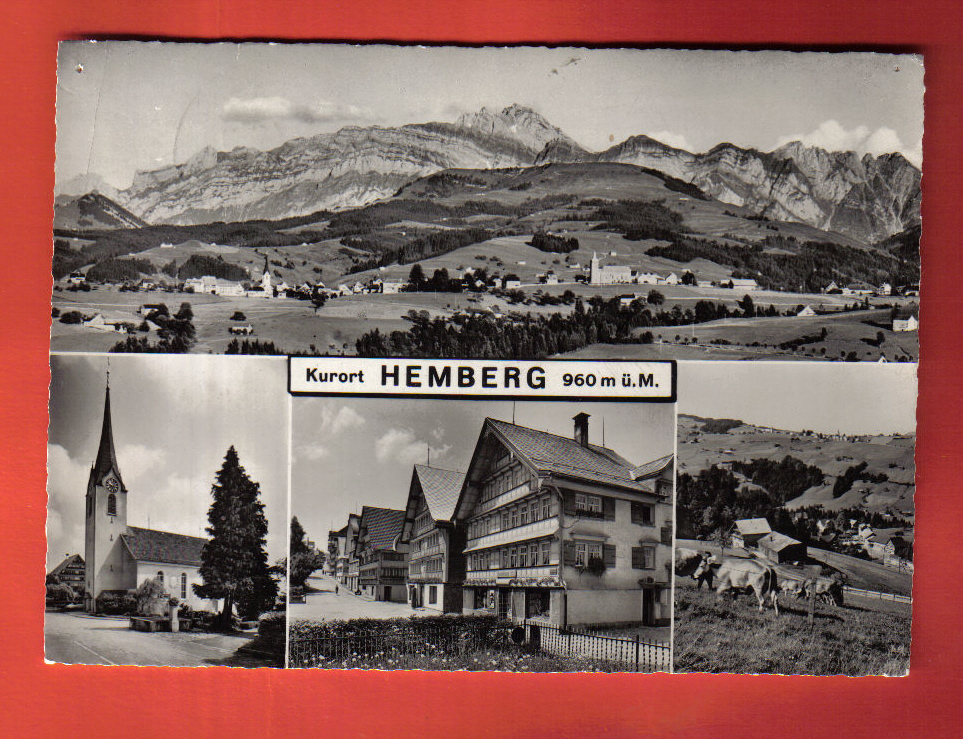 M1284 Hemberg Kurort Multivues,Vaches,Kuhe. Cachet 1961. Foto Gross 31274 - Hemberg