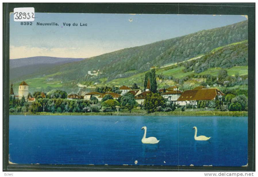 NEUVEVILLE - VUE DU LAC - B  ( 2 TROUS D'EPINGLE ) - La Neuveville