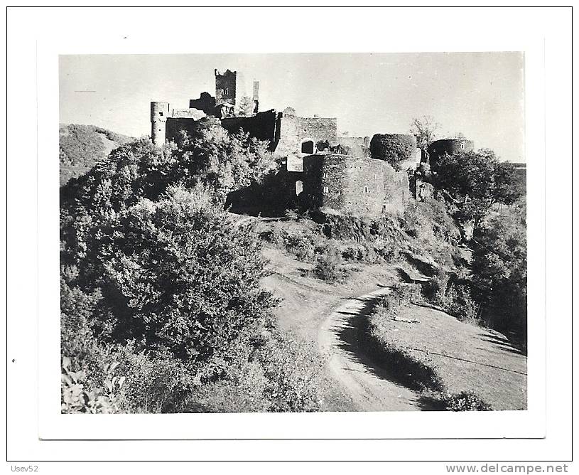 Photo Ruines Du Chateau De Bourscheid - Burscheid