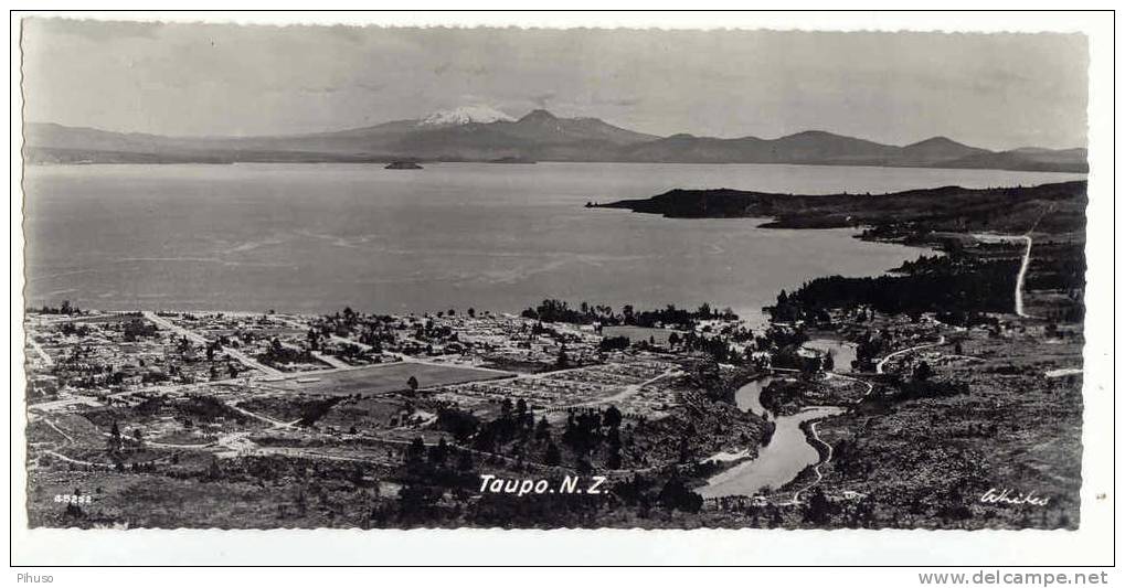 NZ-11    TAUPO : Panorama ( Size 10 X 20,5 Cm) - New Zealand