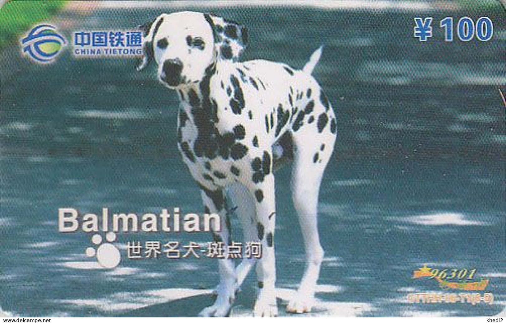 Télécarte Chine - ANIMAL Chien DALMATIEN  - DALMATIAN Dog China Phonecard - Hund Telefonkarte - 500 - Chine