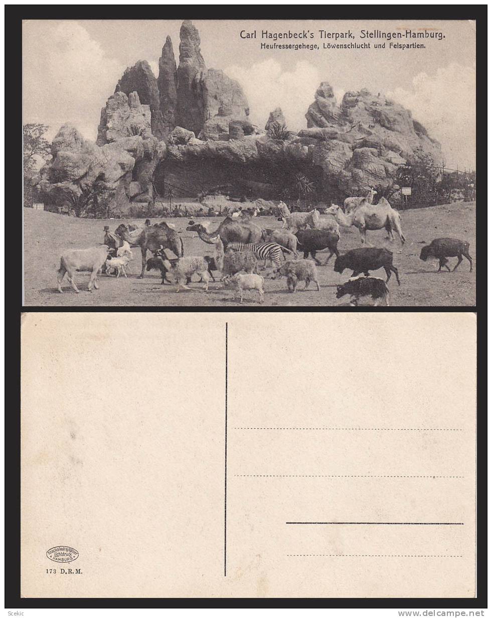 GERMANY HAMBURG STELLINGEN CARL HAGENBECK´S TIERPARK ZOO  POSTCARD - D5492 - Stellingen