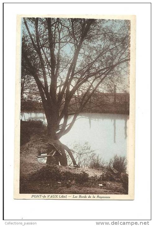 Cp, 01, Pont-de-Vaux, Les Bords De La Reyssouze, écrite - Pont-de-Vaux