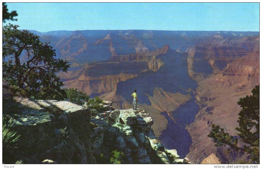 8039     Stati  Uniti  Grand  Canyon  National  Park  Arizona  AT  Pima Point  VG  1965 - Gran Cañon