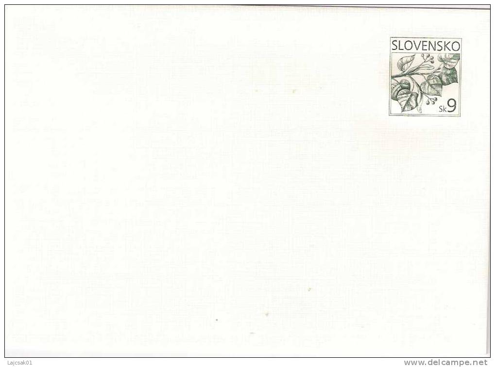 Slovakia (2005 ? ) Pre Stamped Postal Stationery Cover - Briefe U. Dokumente