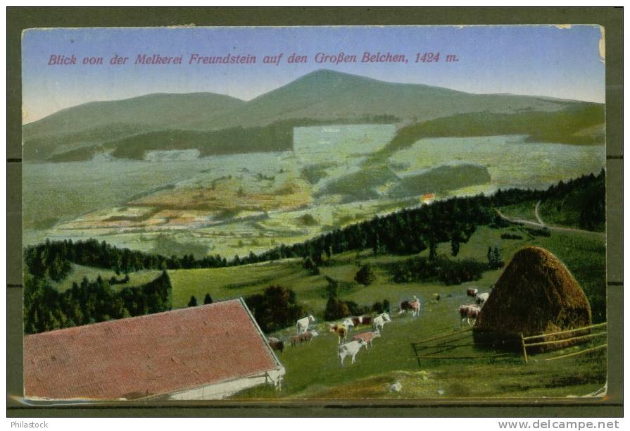 ALLEMAGNE CPA 1923 Une Ferme Vue Générale - Elsass