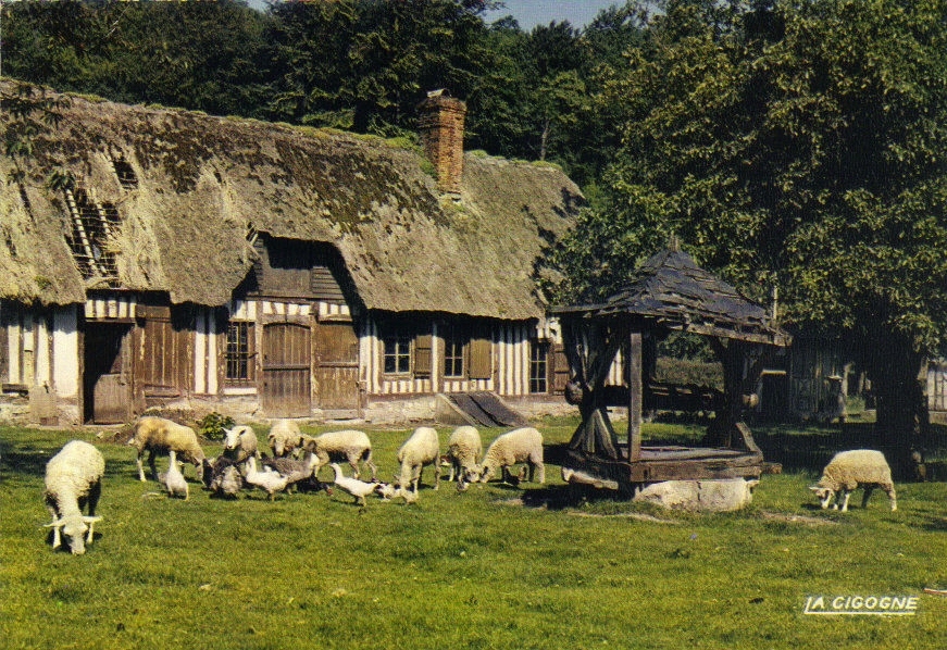 CPM D'une Ferme Normande - Fattorie