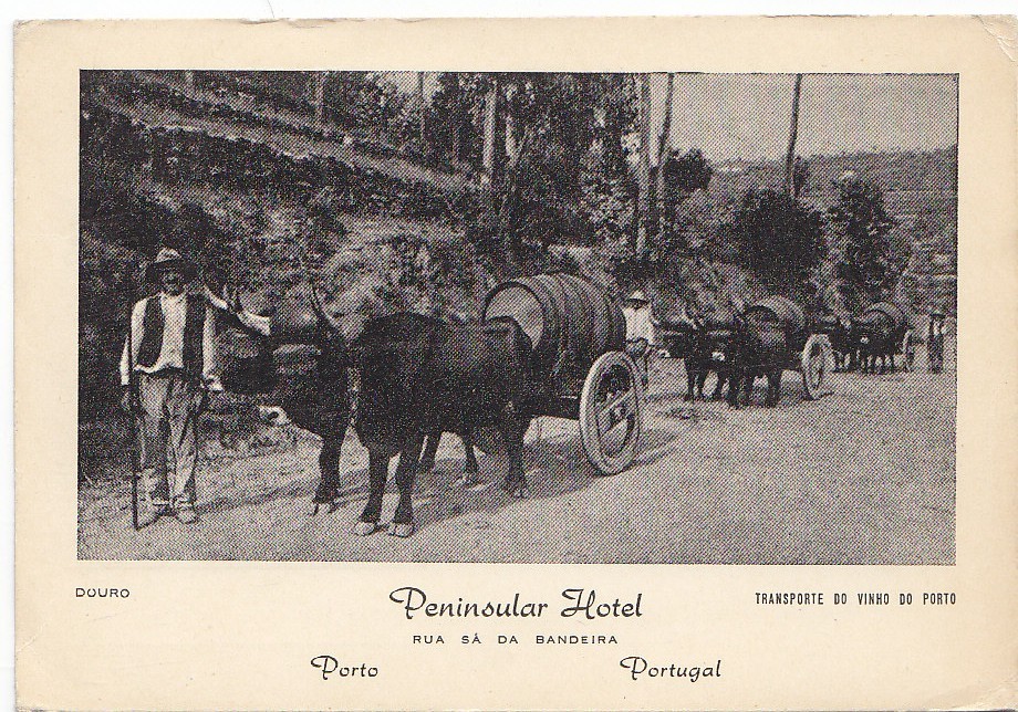 Portugal - Porto - Publicité Peninsular Hotel - Agriculture - Attelage Boeufs - Vin Porto - Porto