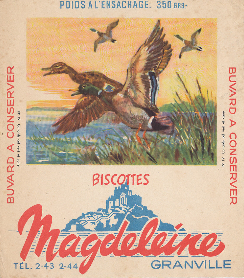 BU105  / BUVARD   BISCOTTES    MAGDELEINE - Biscotti