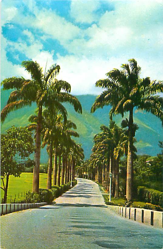 CARACAS - Country-Club (Dist. Santiago C.A., Caracas) - Venezuela