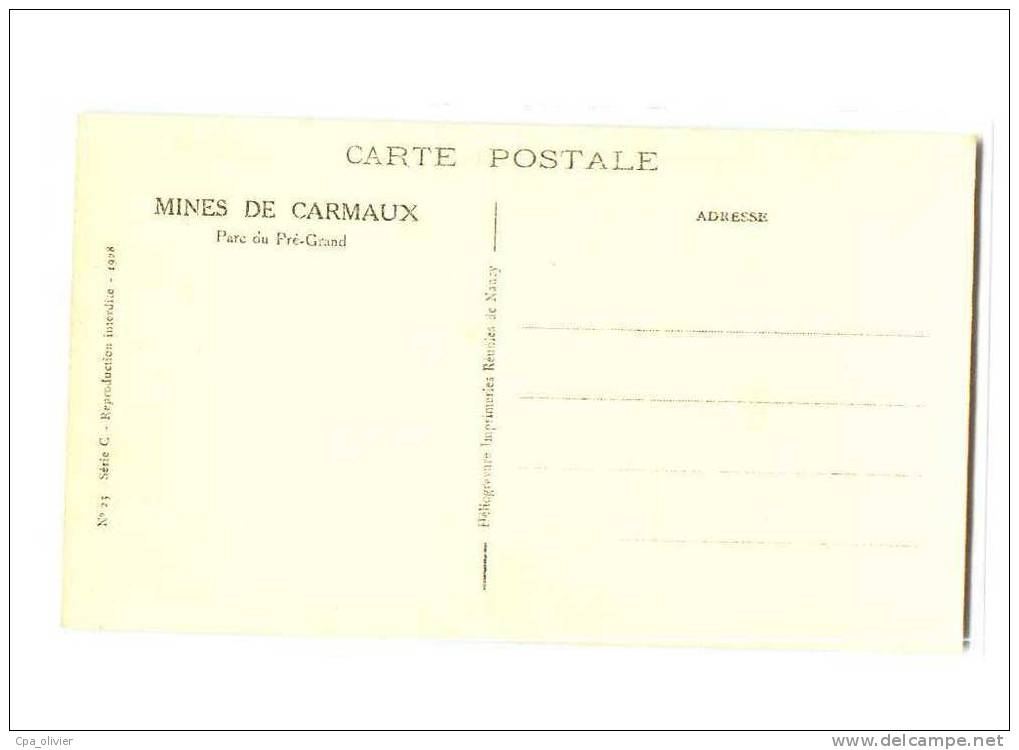 81 CARMAUX Mines, Parc Du Pré Grand, Monument, Kiosque à Musique, Ed IRN 23, Série C, 1928 - Carmaux