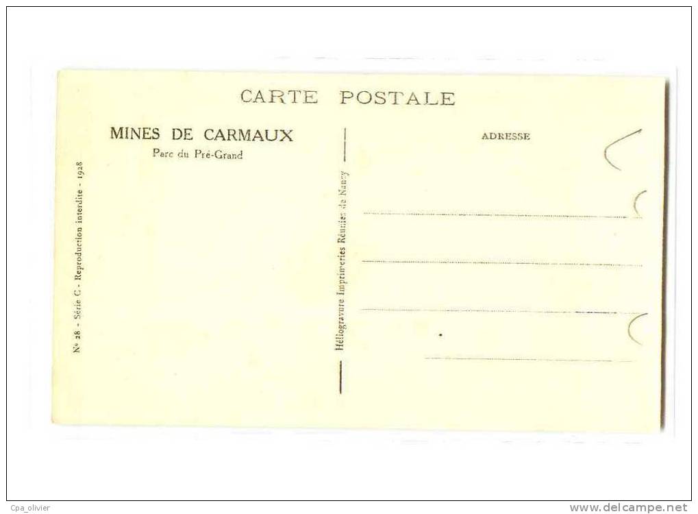 81 CARMAUX Mines, Parc Du Pré Grand, Monument, Statue De Mineur, Ed IRN 28, Série C, 1928 - Carmaux