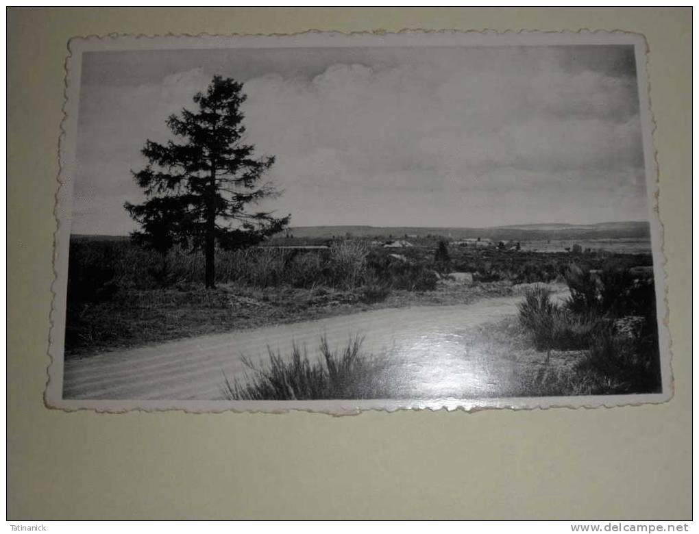 Camp D´Elsenborn: Vue Sur La Plaine - Elsenborn (camp)