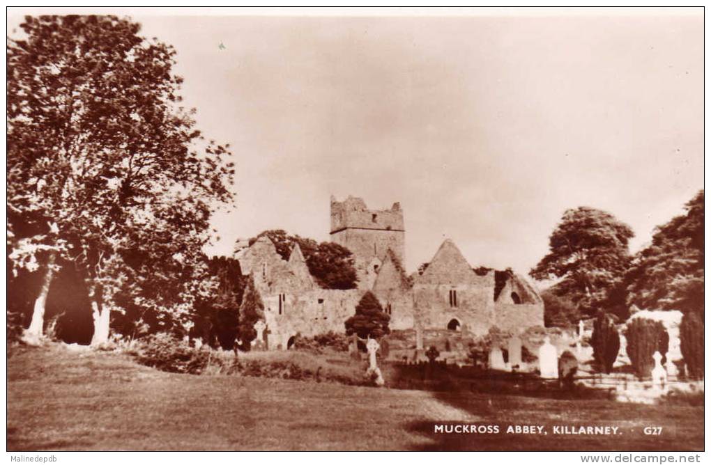 CP - MUCKROSS ABBEY, KILLARNEY (IRLANDE) - Kerry