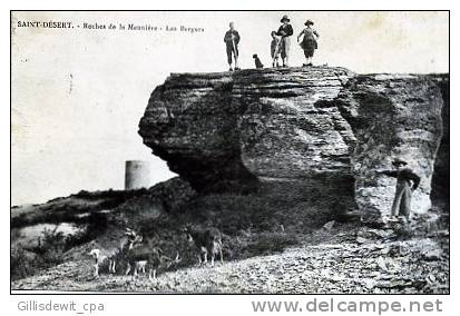 - SAINT DESERT - C/ Givry -  Roche De La Meunière - Les Bergers - Chèvres - Altri & Non Classificati