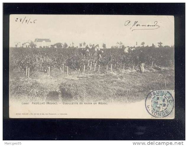 Pauillac Cueillette Du Raisin En Médoc édit.guillier N° 1886 Vigne Vin Précurseur - Pauillac