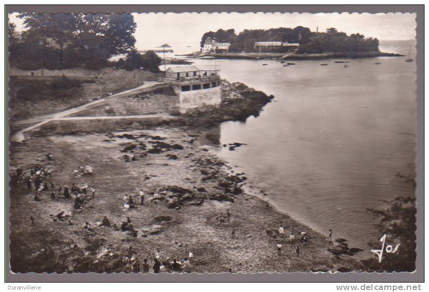 29 DOUARNENEZ - La Plage Des Dames Et L' Ile Tristan (Animation) - Douarnenez