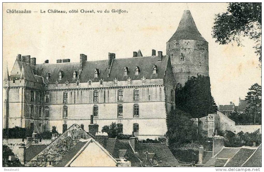 CHATEAUDUN  -  LE CHATEAU COTE OUEST VU DU GRIFFON - Droue