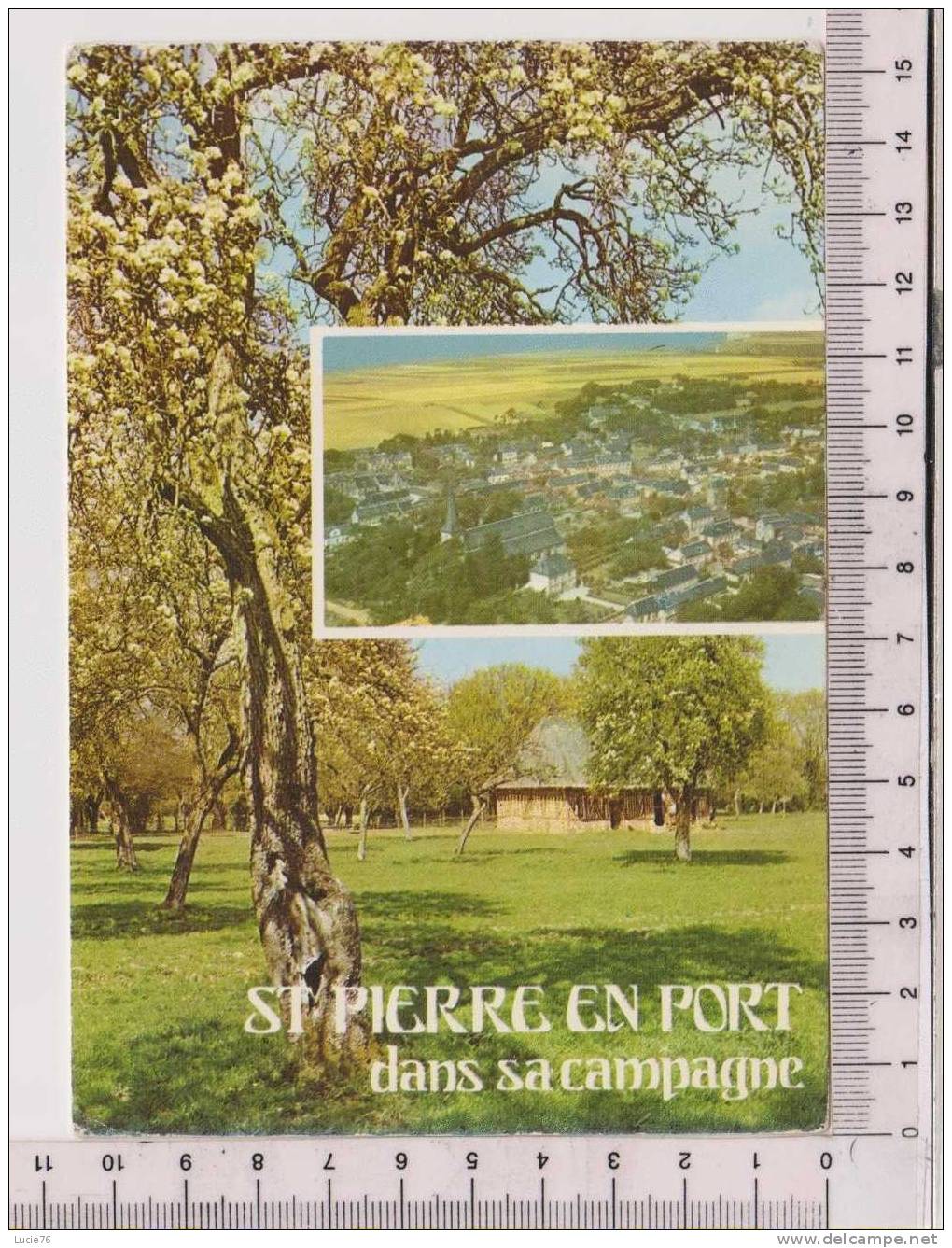 SAINT PIERRE EN PORT Dans Sa Campagne  - Vue Générale Aérienne - Altri & Non Classificati