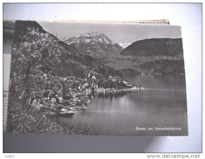 Zwitserland Suisse Schweiz SZ Gersau Am See Panorama - Gersau