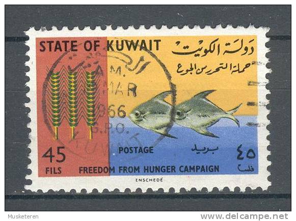 Kuwait 1966 Mi. 305    45 F Freedom For Hunger Kampf Gegen Hunger Deluxe Cancel !! - Kuwait