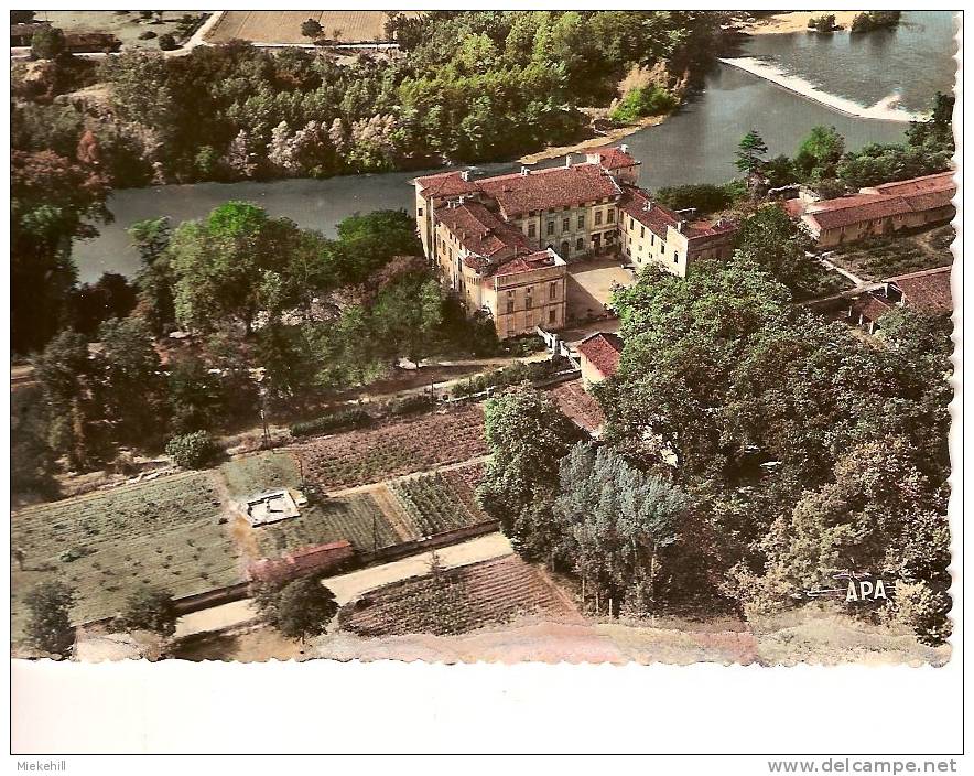 RABASTENS-VUE AERIENNE DU CHATEAU DE SAINT-GERY - Rabastens