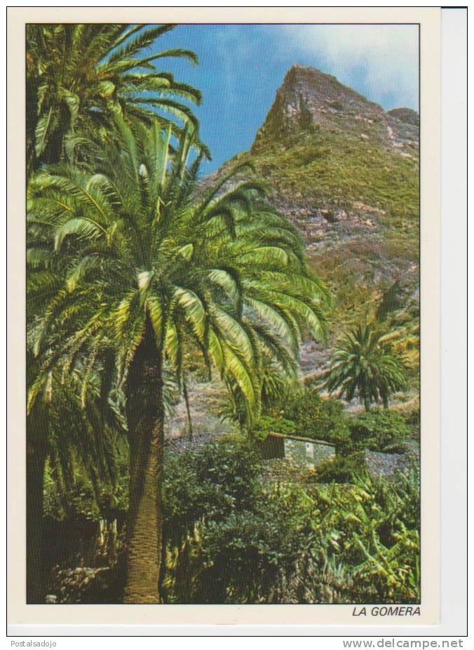 (CANA35) LA GOMERA ISLAND.  GUADA . VALLE GRAN REY - Gomera