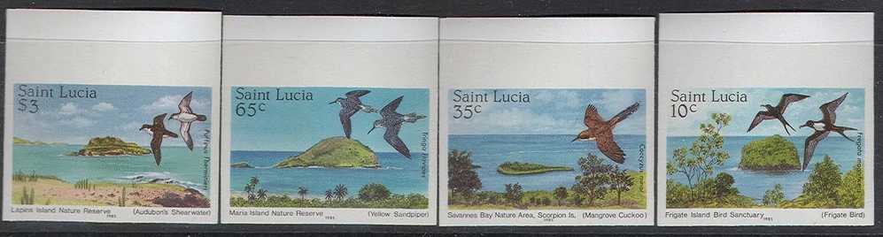 1438 ✅ Fauna Animals Birds 1985 St.Lucia 4v Set MNH Imperf Imp ** - Albatrosse & Sturmvögel