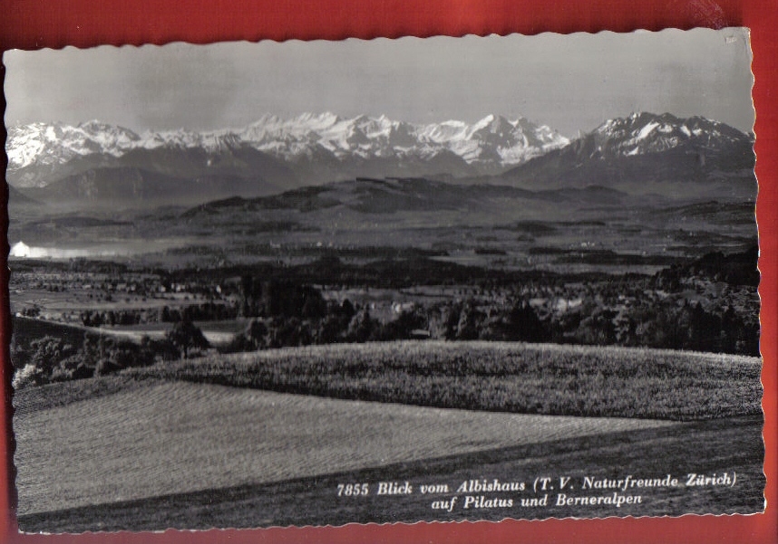 N111 Blick Vom Albishaus T.V. Naturfreunde Zürich, Auf Pilatus U.Berneralpen.Circulé,pas Oblitéré.Suter Oberrieden 7855 - Oberrieden