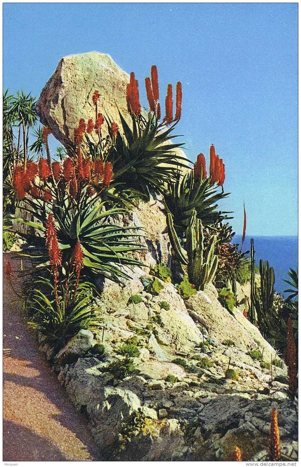 Postal MONACO. Jardin Exotico, S/n. Yucca - Exotischer Garten