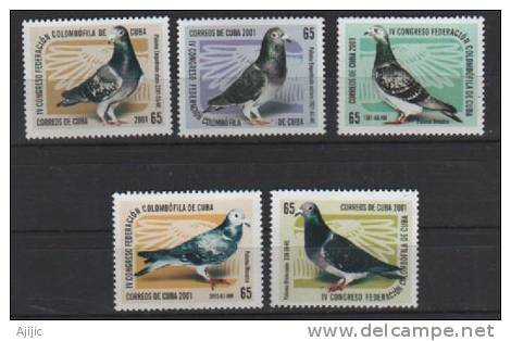 Federation Colombophile De Cuba. Serie Complete 3969/73.   5 T-p Neufs **.  Cote 15.00 € - Pigeons & Columbiformes