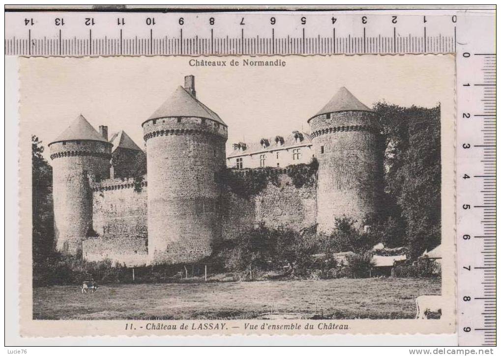 LASSAY -  Château - Vue D'Ensemble Du Château - N° 11 - Lassay Les Chateaux
